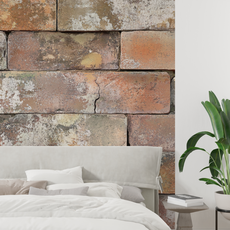 Terracotta Wallpaper with Weathered Texture Effect | Murals Wallpaper
