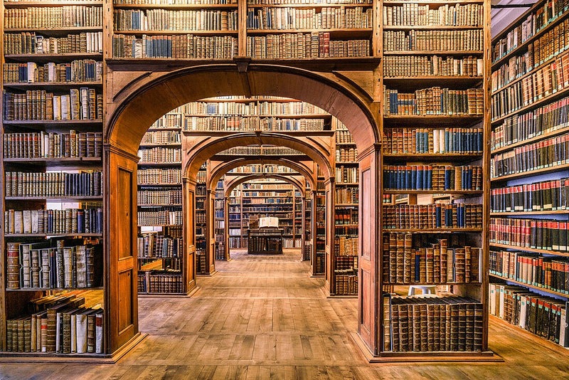 Trompe L'oeil-Bibliothekshintergrund