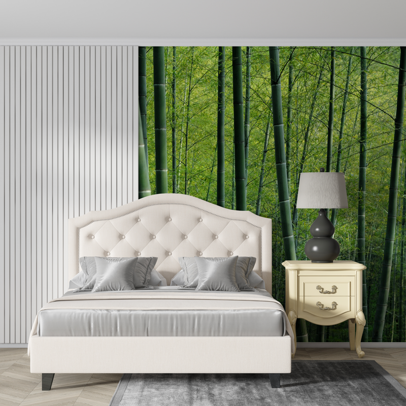 Papier Peint Foret Bambou - tendances