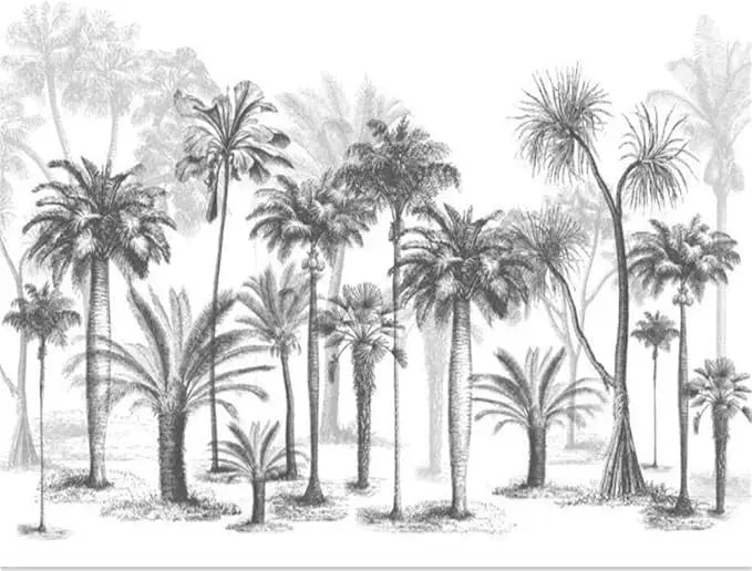 Black and white palm wallpaper